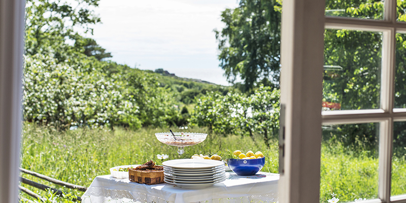 Dukat bord med potatis och annan mat mot vacker sommargrönskande bakgrund.