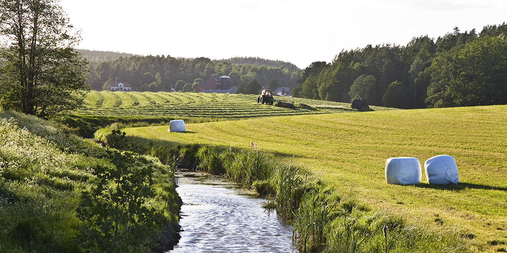 En å slingrar sig mellan åkrar. En traktor klipper vall.